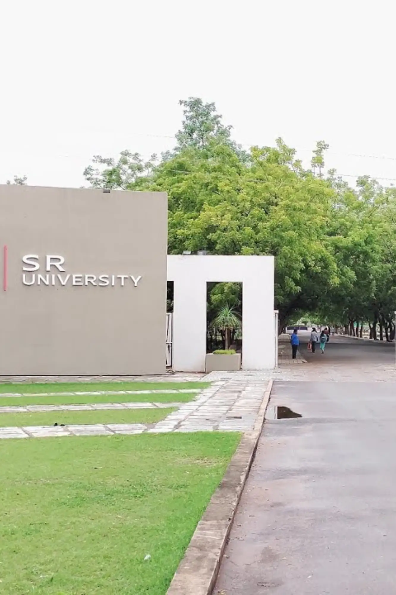 6-ezgif.com-optiwebp